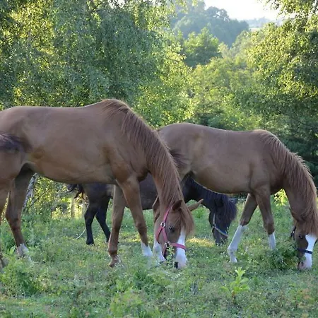 Фермерский дом Lipowy Dwor Щецинек
