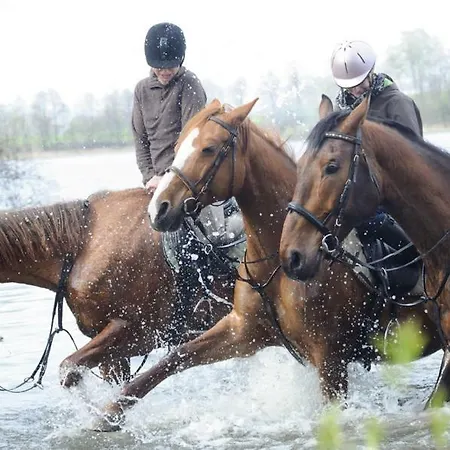 Lipowy Dwor * Щецинек