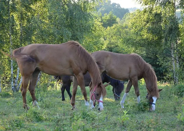 Agroturismo Lipowy Dwór Szczecinek