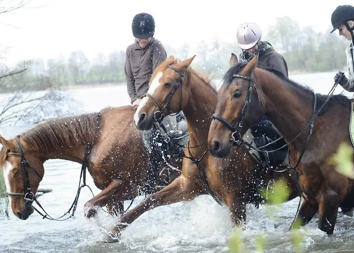 Lipowy Dwor * Szczecinek